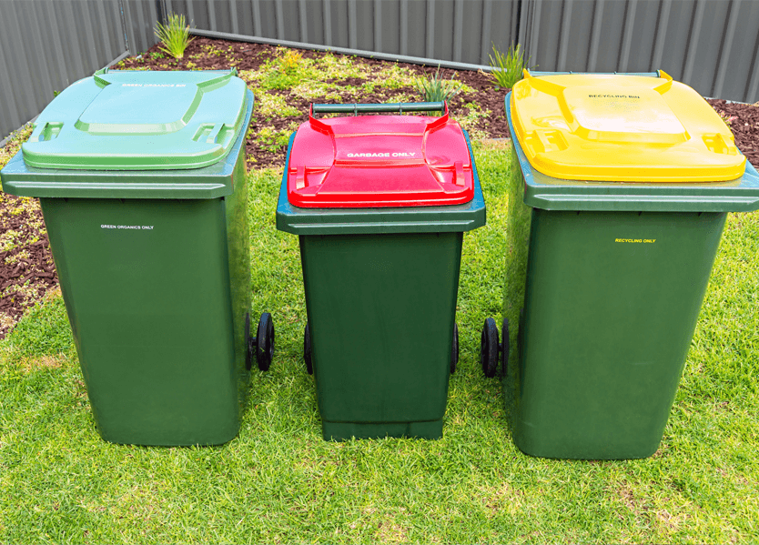 Council Bin Clean